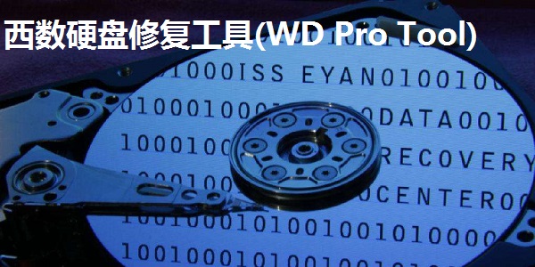 西数硬盘修复工具(WD Pro Tool)